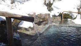 温泉旅館で文豪のような生活をしているよ 温泉旅館で文豪のような生活をしているよ