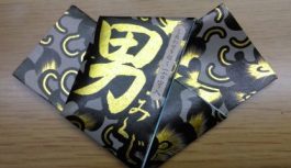2018年 新年の抱負 ~研修医2年目 変わりゆく思い~ 2018年 新年の抱負 ~研修医2年目 変わりゆく思い~