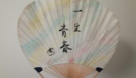 2019年 新年の抱負~医師3年目、小児科と読書と英語~ 2019年 新年の抱負~医師3年目、小児科と読書と英語~